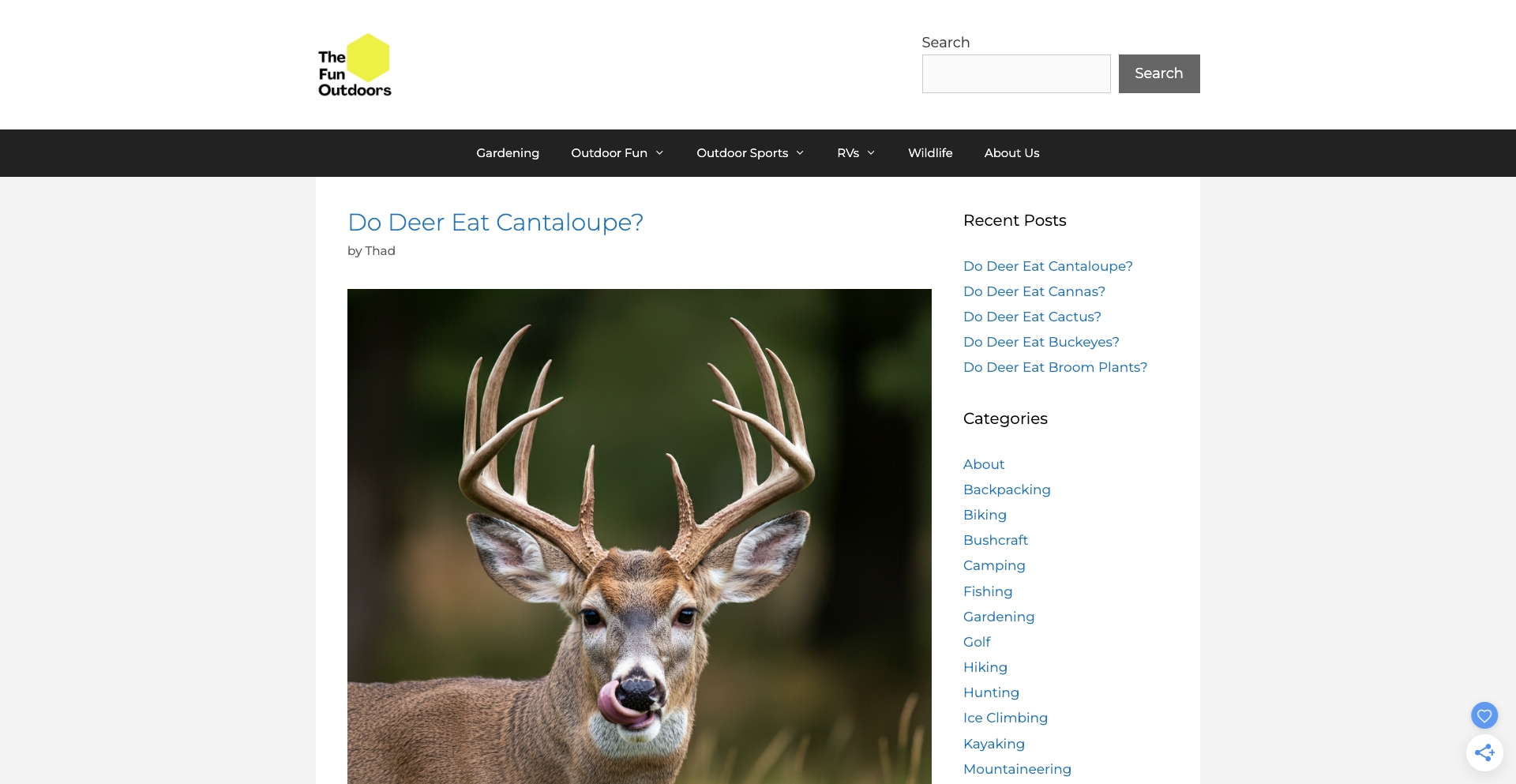 The Fun Outdoors question-template programmatic SEO template - 0 monthly traffic