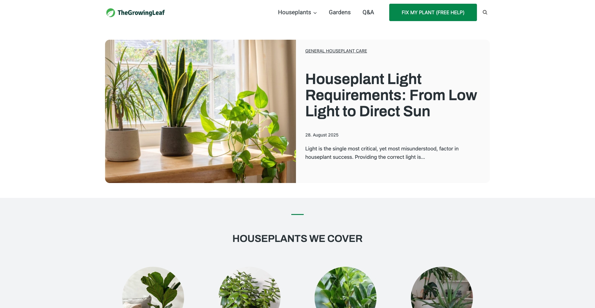 The Growing Leaf species-template programmatic SEO template - 0 monthly traffic