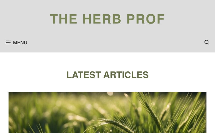 Theherbprof content programmatic SEO template - 13 monthly traffic