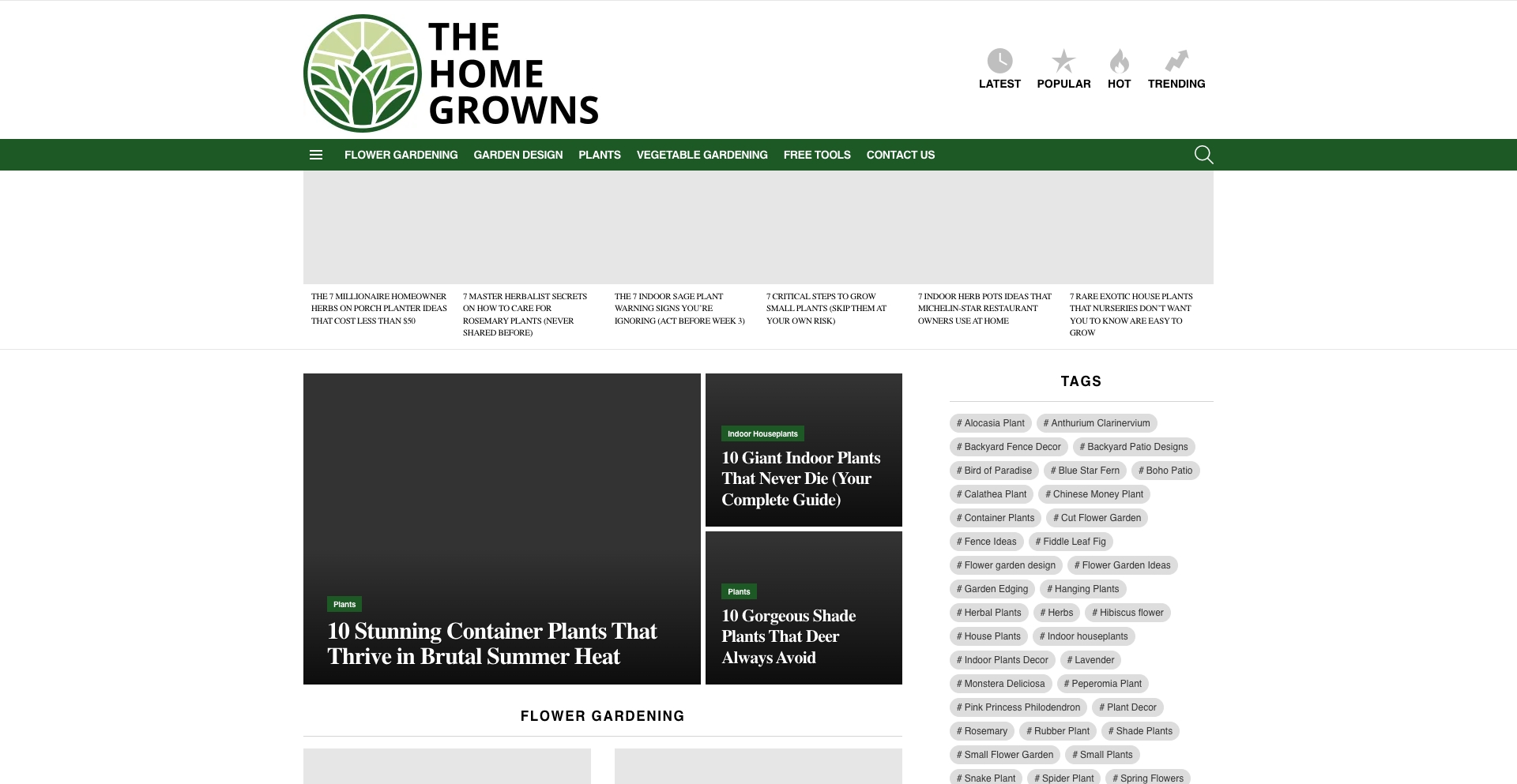 The Home Growns entity-modifier programmatic SEO template - 0 monthly traffic