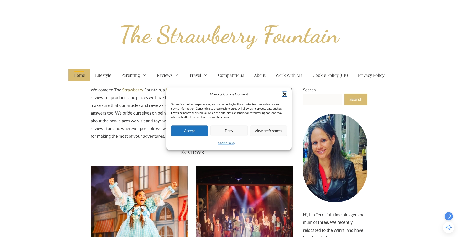 Home – The Strawberry Fountain location-data programmatic SEO template - 597 monthly traffic