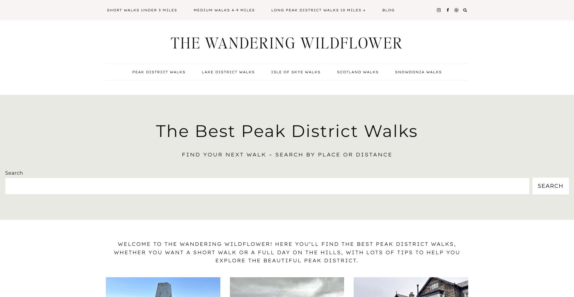 Thewanderingwildflower content programmatic SEO template - 13K monthly traffic