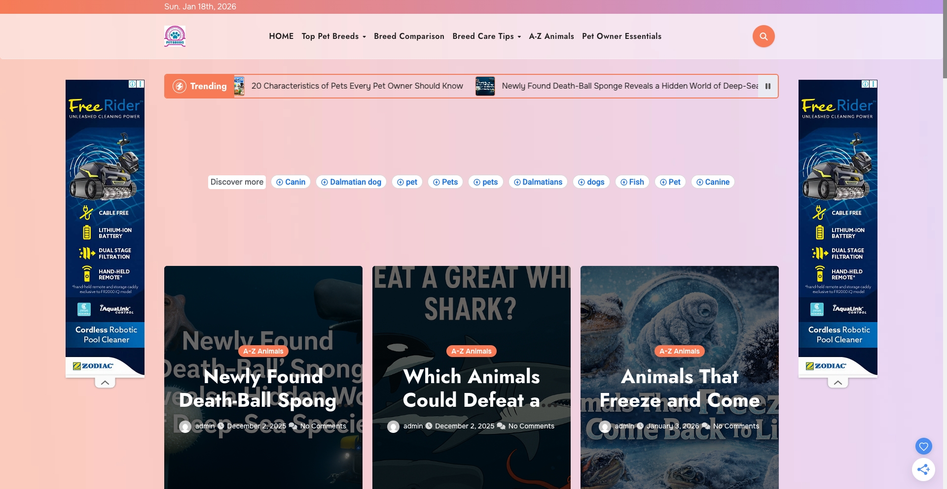 Pet Breed Hub comparison programmatic SEO template - 0 monthly traffic