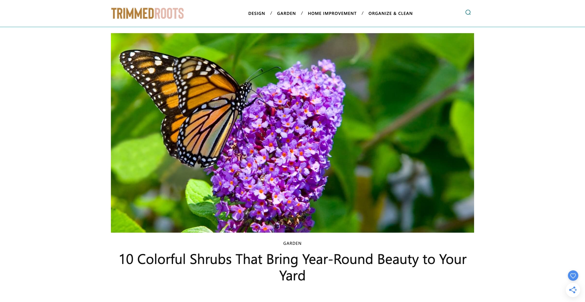 Trimmed Roots listicle-template programmatic SEO template - 0 monthly traffic