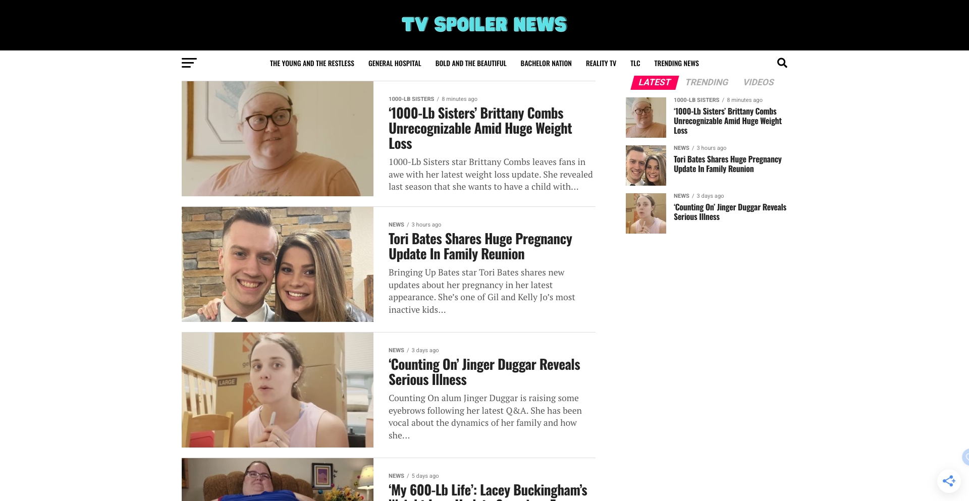 TV Spoiler News entity-database programmatic SEO template - 0 monthly traffic