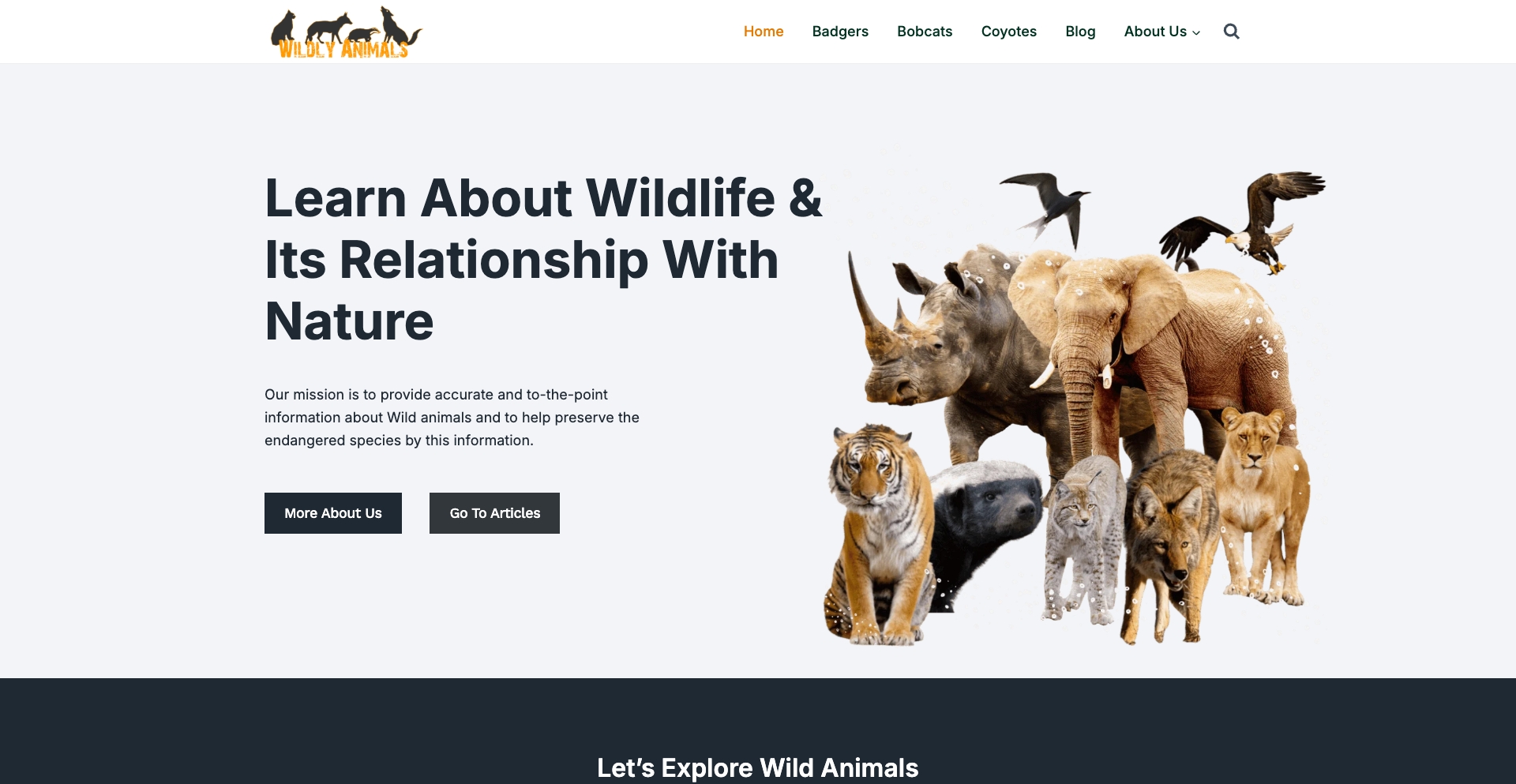 Wildlyanimals content programmatic SEO template - 0 monthly traffic