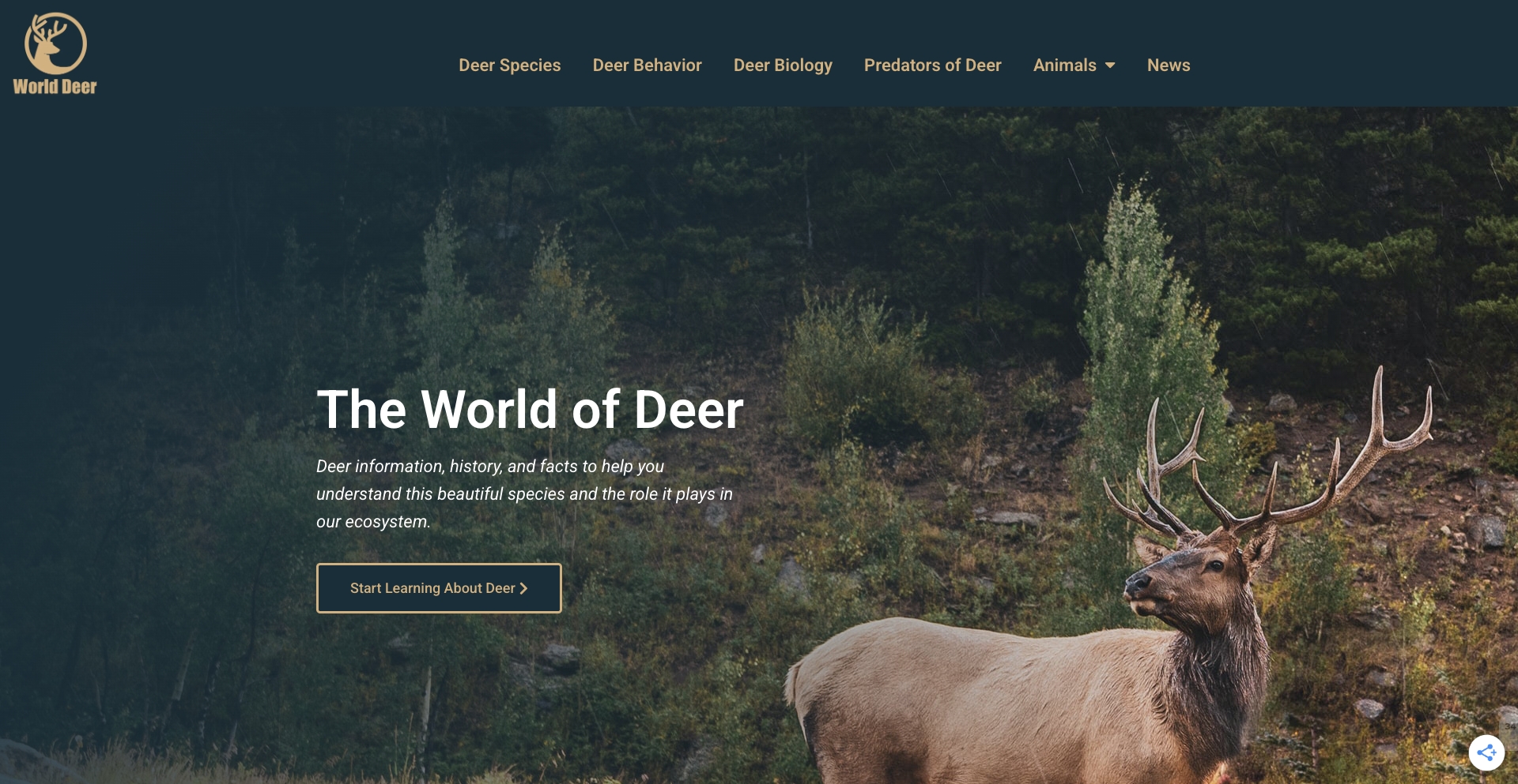 About Deer of the World | A Deer Website (the leading authority on deer) question-answer programmatic SEO template - 1403 monthly traffic