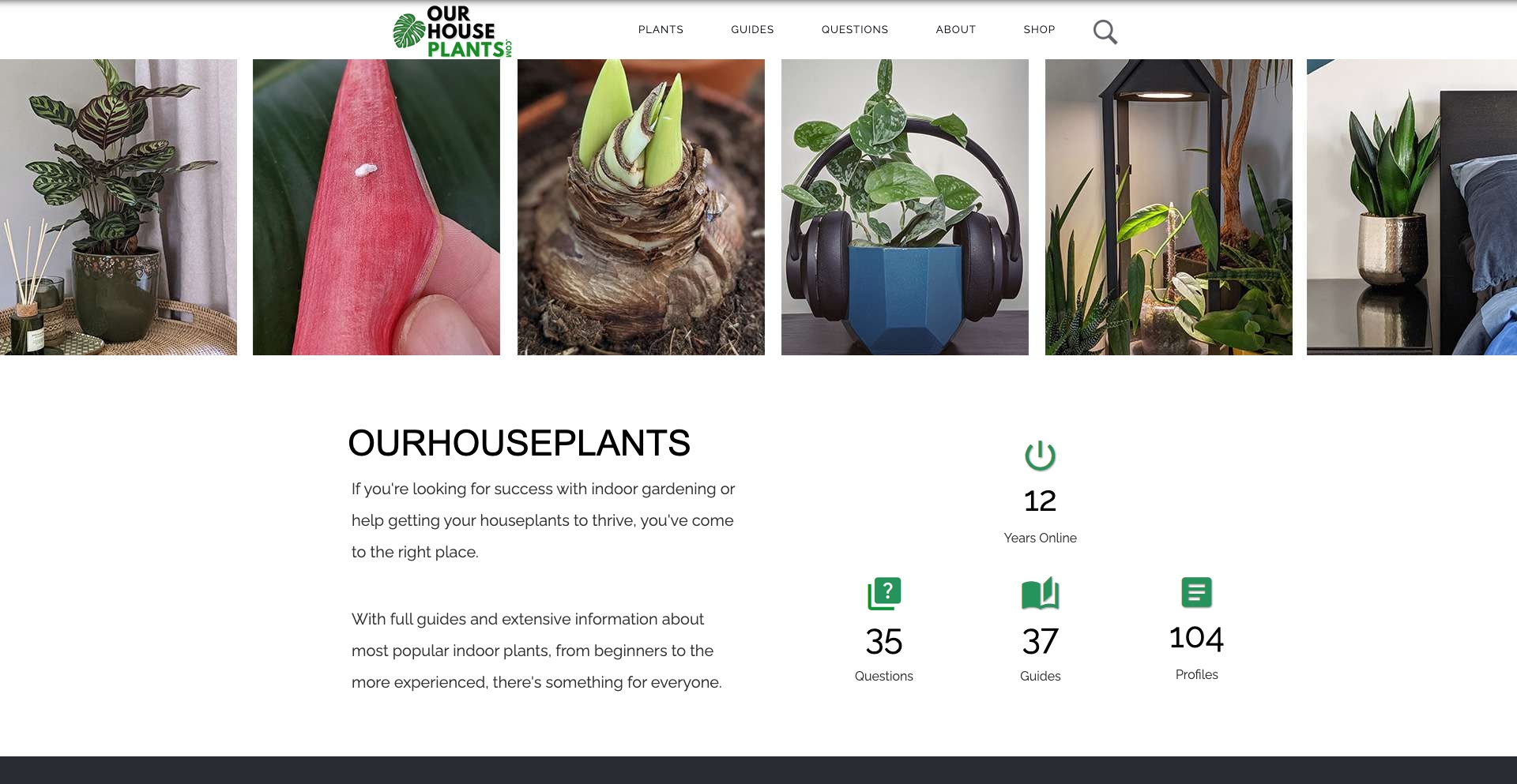 Ourhouseplants ai-generated programmatic SEO template - 10K+ monthly traffic